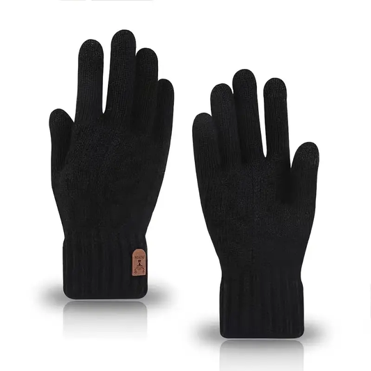 Hibernal Men's Winter Gloves